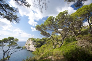 Menorca1.jpg