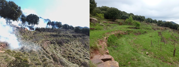 Aspecto antes y después del tratamiento