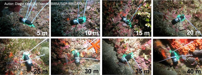 Termómetros instalados entre 5 y 40 m de profundidad en la reserva marina de las Islas Columbretes
