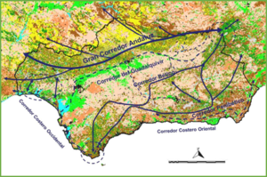 Infraestructura verde en Andalucia 01.png