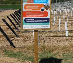 Medacc2 pruebas piloto agricolas2.jpg