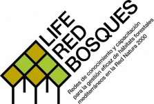 www.redbosques.eu