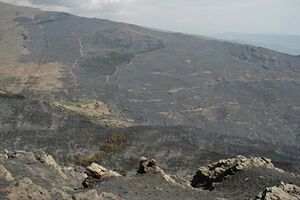 Zona incendiada 2.jpg